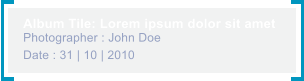 Album Tile: Lorem ipsum dolor sit amet Photographer : John Doe Date : 31 | 10 | 2010